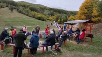 Včielky